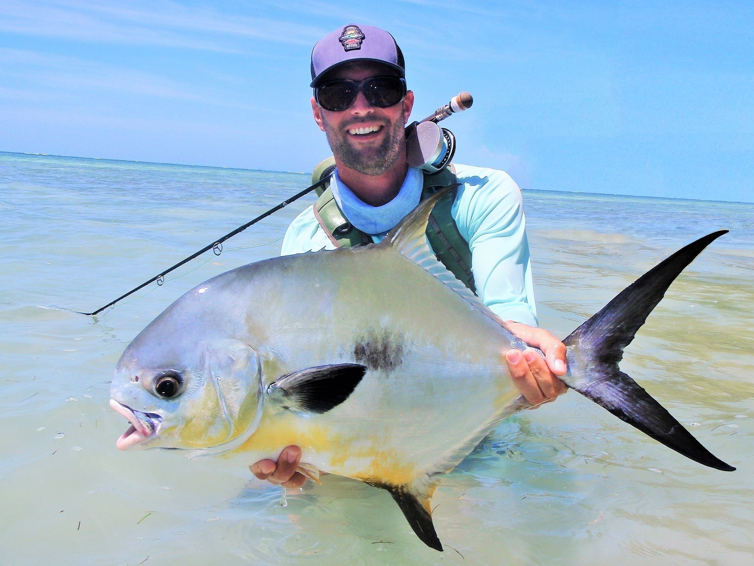 PERMIT on fly from the flats of GUADELOUPE (French West Indies