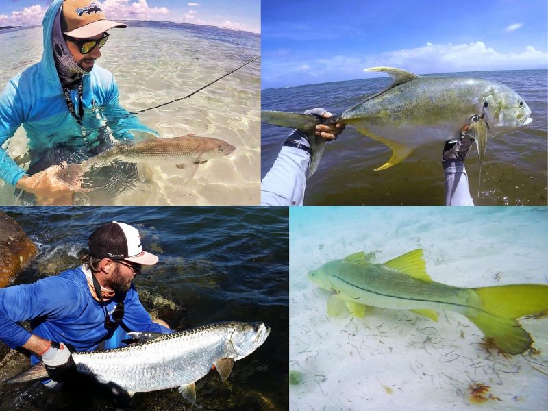 fishing guide guadeloupe