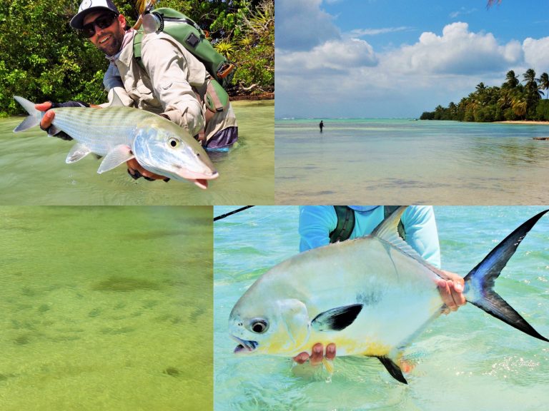 flat fishing guadeloupe peche bonefish