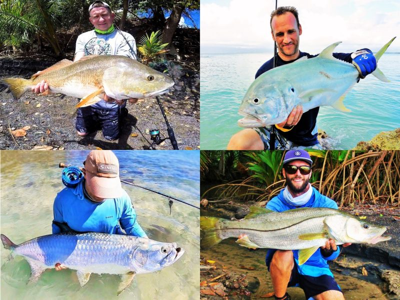 inshore fishing guadeloupe