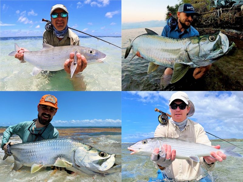 tarpon bonefish fly fishing guadeloupe